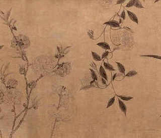蝇蛆养殖学习，蝇蛆养殖学习