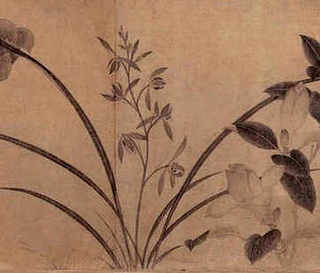 养殖野猪怎么样，养殖野猪怎么样