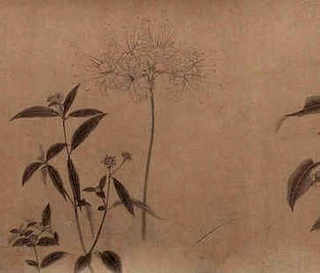 花泥鳅的养殖技术视频，免费泥鳅养殖技术交流