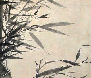 椰子蟹能养殖吗北方，椰子蟹能养殖吗