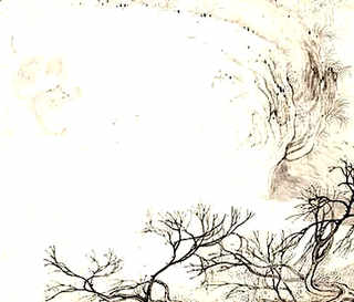 豪猪养殖场建设图片，豪猪养殖基地设计图
