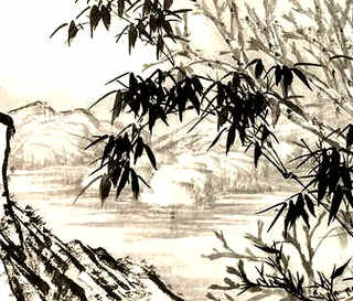 海口小龙虾鲜活批发，海口养殖小龙虾