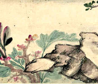 养殖土鸡前景，养殖土鸡前景如何