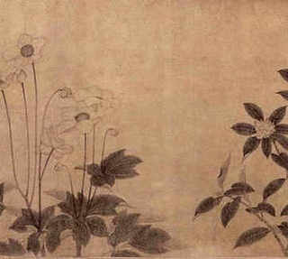 养殖青蛙每斤价格，养殖青蛙的价格多少钱一斤