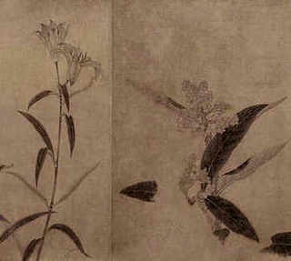 养龟有没有单双之分，养龟有单双说法吗