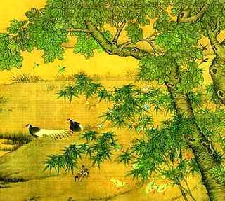 刚收回的蜜蜂啃巢门怎么回事，蜜蜂长期啃巢门-是为什么