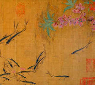 养龟怎么养出绿水，养龟养几个比较好