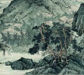 土龟是金钱龟吗，小青龟和金钱龟