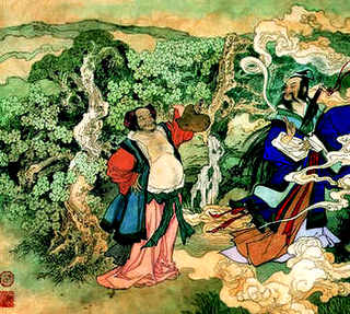 月季花的养殖方法和注意事项视频，月季花的养殖方法和注意事项