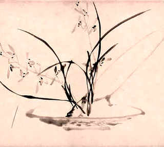 小鳄龟可以跟草龟养在一起吗，小鳄龟跟草龟混养有问题