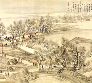 金钱龟多久晒一次太阳，金钱龟多久晒一次太阳