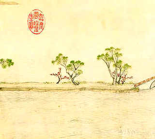 养殖五彩鸡，养殖五彩鸡
