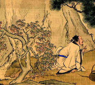 镇宅辟邪最厉害的植物，镇宅驱邪适合家养植物