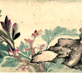 蜜蜂雌雄染色体，蜜蜂分雌雄吗