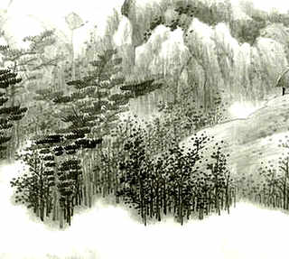 龟养一只好吗，养一只龟会孤独吗