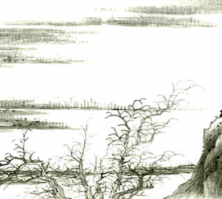 养龟是养一只好还是养一对，养龟能养一对吗