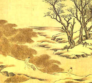 雏鸡的衡量标准，健康雏鸡的评价标准是什么