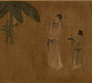 剃刀龟苗冷水养，冷水龟苗养殖