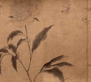 致富经养泥鳅致富，泥鳅养殖致富精