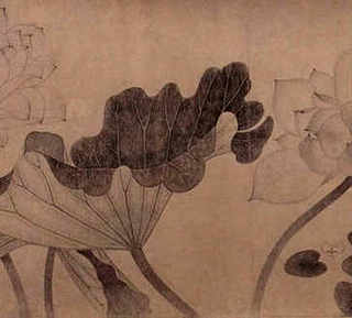 养几只龟最吉利，养几只龟最吉利