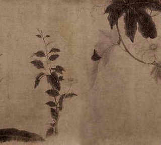怎样可测出虾的养殖密度，极火虾养殖密度