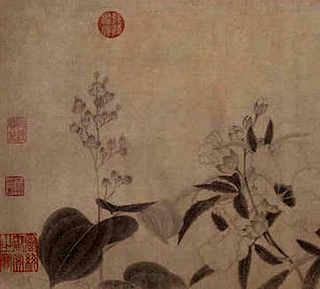 南宁市哪个市场有批发淡水虾，南宁虾批发哪里便宜