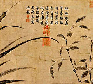 冬天加温养龟怎么换水，养龟多少天换水合适