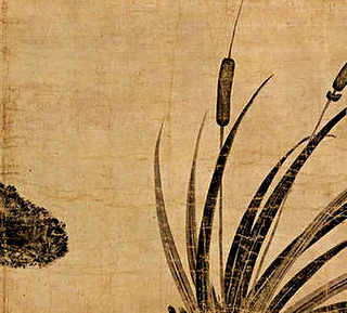 百合花养殖，百合花养殖需要阳光吗