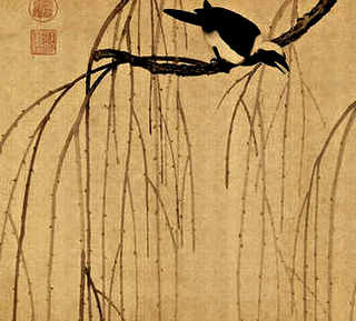 蛋鸽养殖，蛋鸽养殖故事