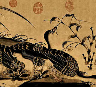 什么动物好养只需要关笼子，除了兔子什么动物适合笼养