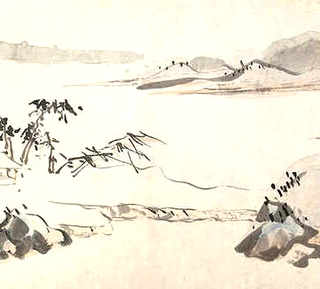 什么龟最值钱，杂交龟值钱么