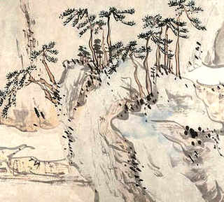野生中华草龟黑色，我听说雄性中华草龟成年后全身会变成黑色-这是真的吗
