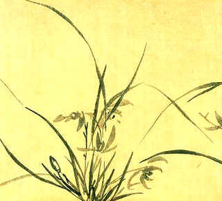 中药养殖技术，养殖的中药有哪些