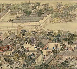 野龙虾如何进行驯养，野生龙虾如何驯养