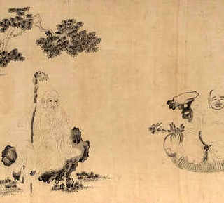 黄化中华花龟，求中华花龟