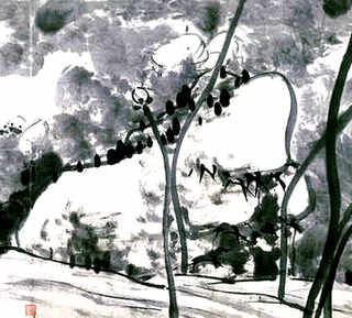 养殖澳洲淡水龙虾一亩利润多少，养殖龙虾的真实利润