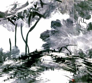 对虾怎么混养视频，水鱼混养对虾养殖