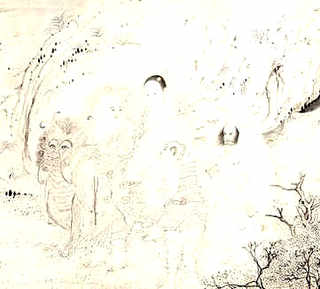 金银花夏天如何养护，金银花夏天养殖