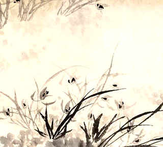 丰年虫简易养殖技术，丰年虫简易养殖技术图