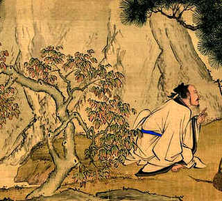 婕渤瀛旈泙鍏绘畺，孔雀养殖资料