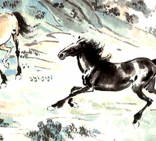 什么龟最便宜最好养，龟多少钱一只-黄缘闭壳龟好养吗