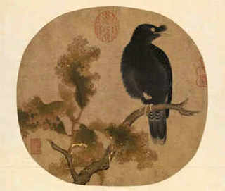 虎纹蛋龟是深水龟吗，虎纹蛋龟是深水龟吗