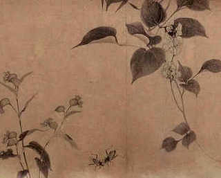 大菱鲆养殖方法，养殖大菱鲆的水质要求