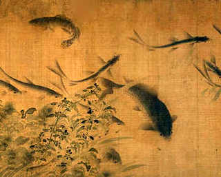 成都大丰养殖基地，大丰养殖网