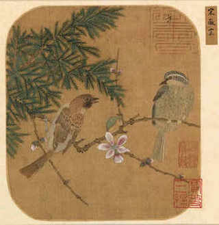 草龟怎么养成金钱草龟图片，养草龟小妙招养草龟小妙招介绍