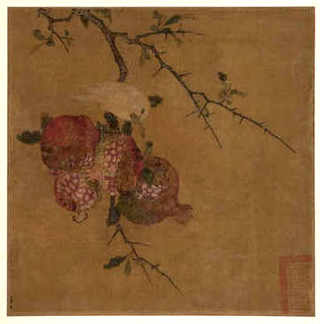 温室大棚蝇蛆冬季养殖，冬季怎么养殖蝇蛆