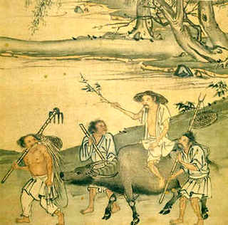 养殖鲟鱼最大多少斤，养殖鲟鱼最大多少斤