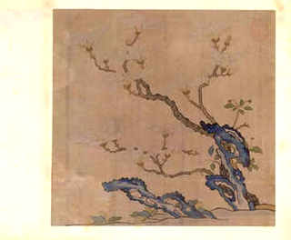 养殖孔雀条件有哪些，养殖孔雀条件