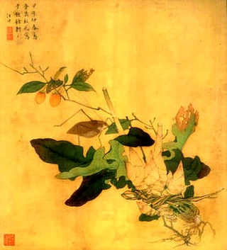 养殖娃娃鱼的成本，娃娃鱼养殖条件和成本