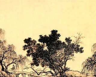 养殖优质土鸡有何意义，专业养殖土鸡具备哪些条件